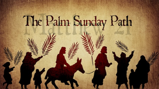 Reflection For Palm Sunday Holy Name Of Jesus